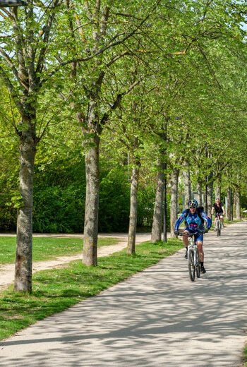 Programme immobilier neuf - Villa Fontana à Fontenay-aux-Roses (92) - Vue de quartier 1 - Lamotte