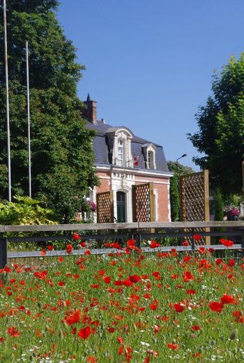 Programme immobilier neuf - Nymphe au Rheu (35) - Vue de quartier 1 - Lamotte