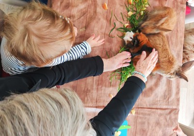 Micro-crèche à Brest - Intergénérationnel et médiation animale - Lamotte