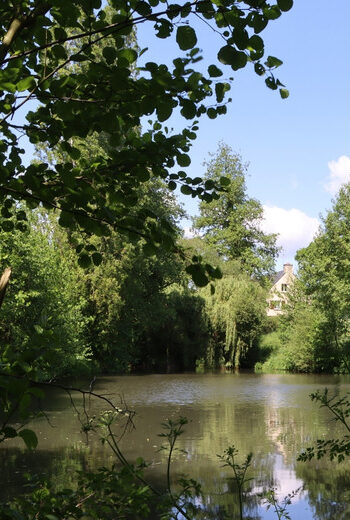 Programme immobilier neuf - Molène à Domloup (35) - Vue de quartier 2 - Lamotte