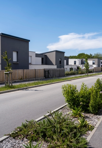 Terrain à construire - Vannes Ma Vraie Nature dans le Morbihan (56) - Vue de quartier 2 - Lamotte Aménageur Lotisseur