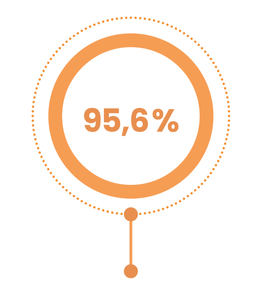 95,6%