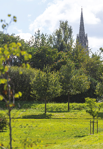 Programme immobilier neuf - Tempo à Noyal-sur-Vilaine (35) - Vue de quartier 1 - Lamotte