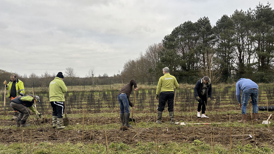 Marathon Vert Rennes School of Business 2024 - Journée de plantation d'arbres - Lamotte