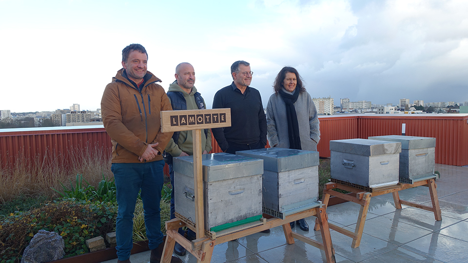 Partenariat avec l'entreprise Pollen - Installation des ruches - Lamotte