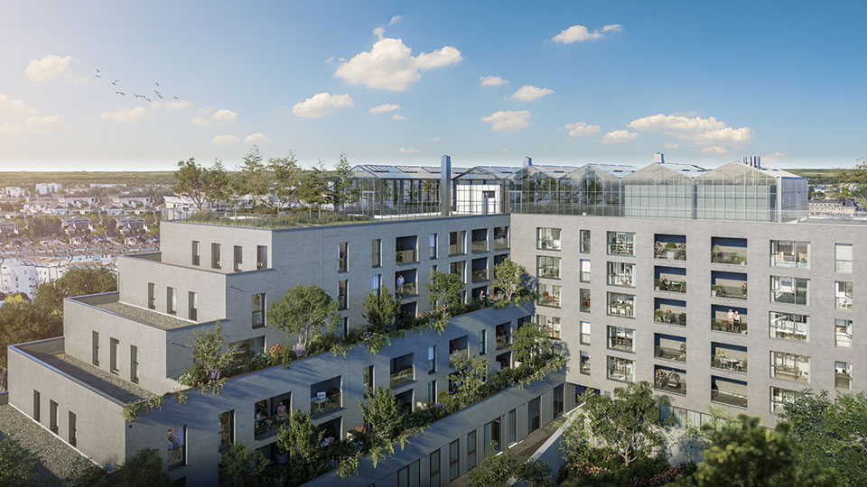 Programme immobilier neuf Climax à Angers - Exploitation de la ferme urbaine par Sicle - Terrasse de l'immeuble - Lamotte