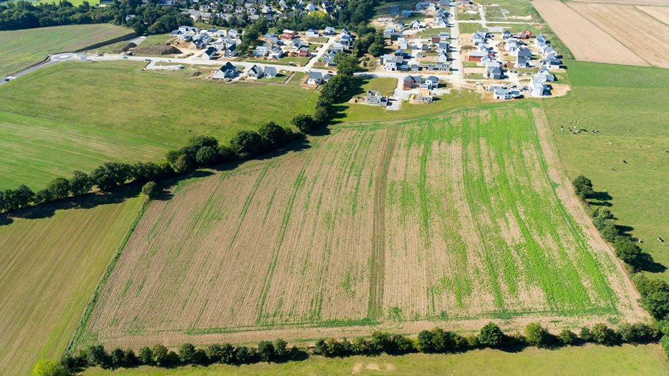 Conseil - La vente de terrain constructible - Lamotte