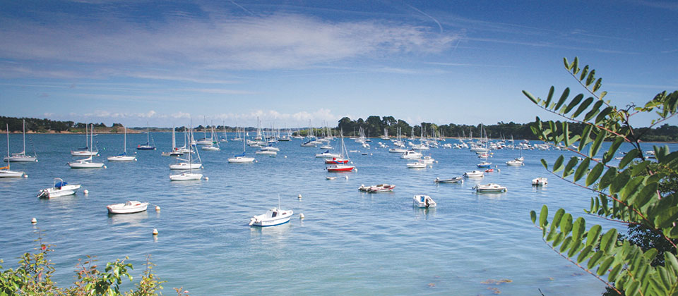 Des bateaux dans le Golfe du Morbihan - Lamotte