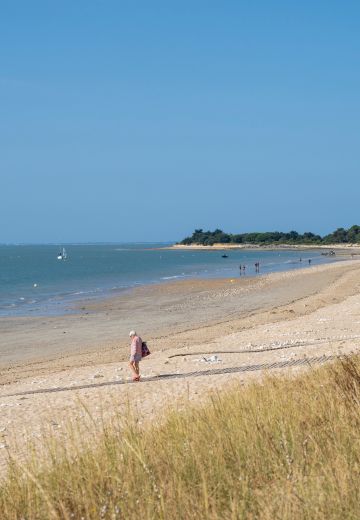 Terrain à construire - Le Domaine de la Corniche à Rivedoux-Plage (17) - Vue de quartier 3 - Lamotte Aménageur Lotisseur