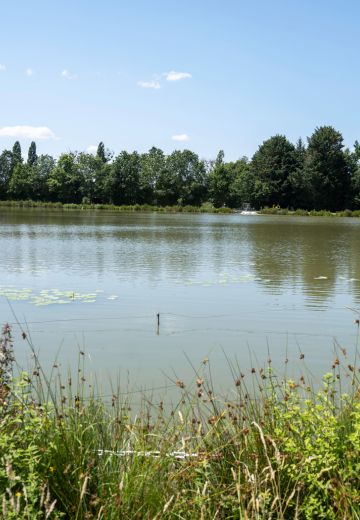 Terrain à construire - Le Parc de la Chesnaie – Tranche 3 à Beaucé (35) - Vue de quartier 3 - Lamotte Aménageur Lotisseur