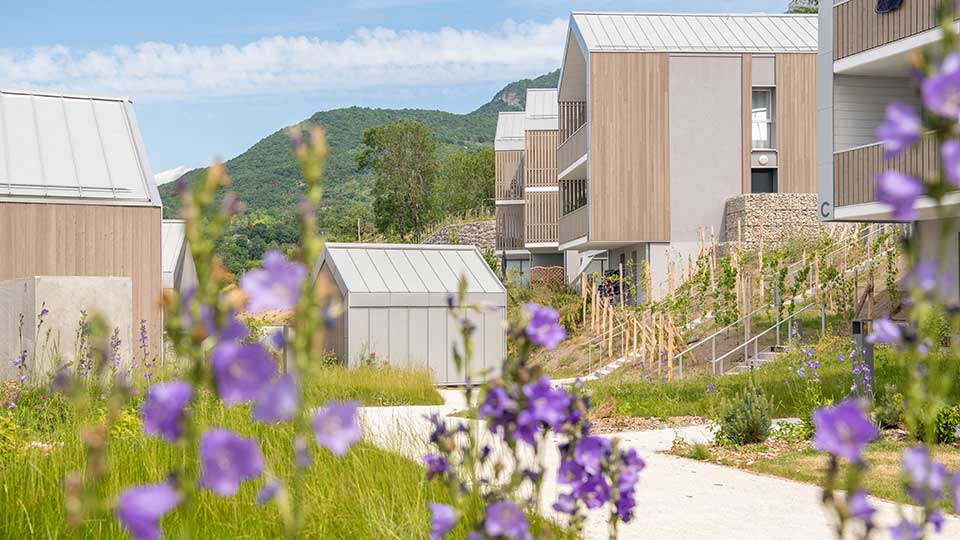 Programme immobilier neuf - Panorama Village à Barby (73) - Fleurs - Lamotte