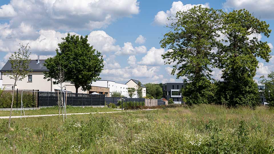 Lotissement Carré Villeneuve à Saint-Grégoire (35) - Jardin - Lamotte Aménageur Lotisseur