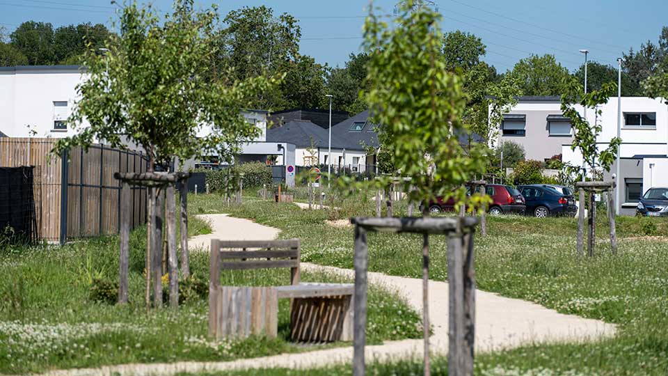Lotissement Vannes Village à Vannes (56) - Jardin - Lamotte Aménageur Lotisseur