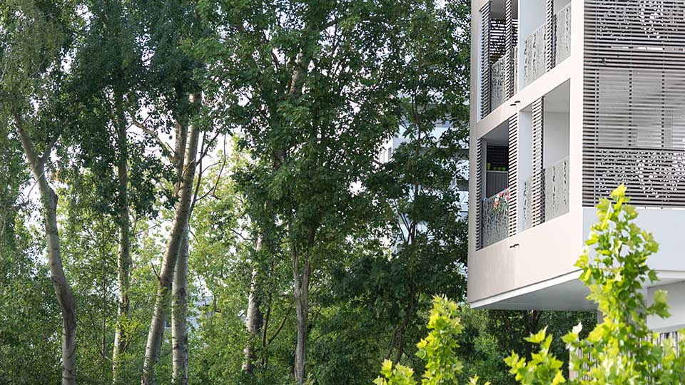 Programme immobilier neuf - Horizon Mermoz à Rennes (35) - Ilot paysager - Lamotte