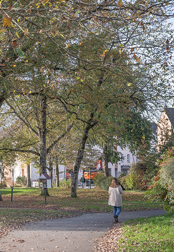 Programme immobilier neuf - Chemin des Alouettes à Chantepie (35) - Vue de quartier 3 - Lamotte